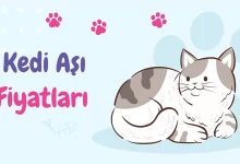 Kedi Aşı Fiyatları